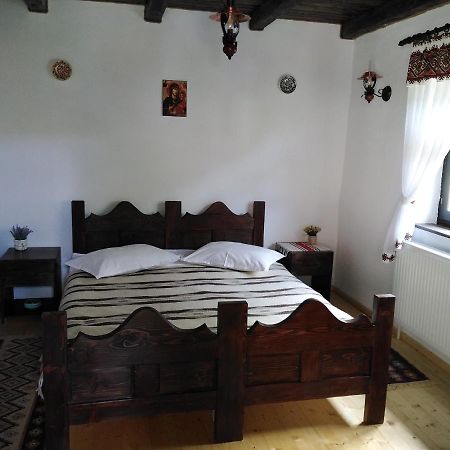 Villa Casuta Din Valea Regilor à Gradistea de Munte Extérieur photo