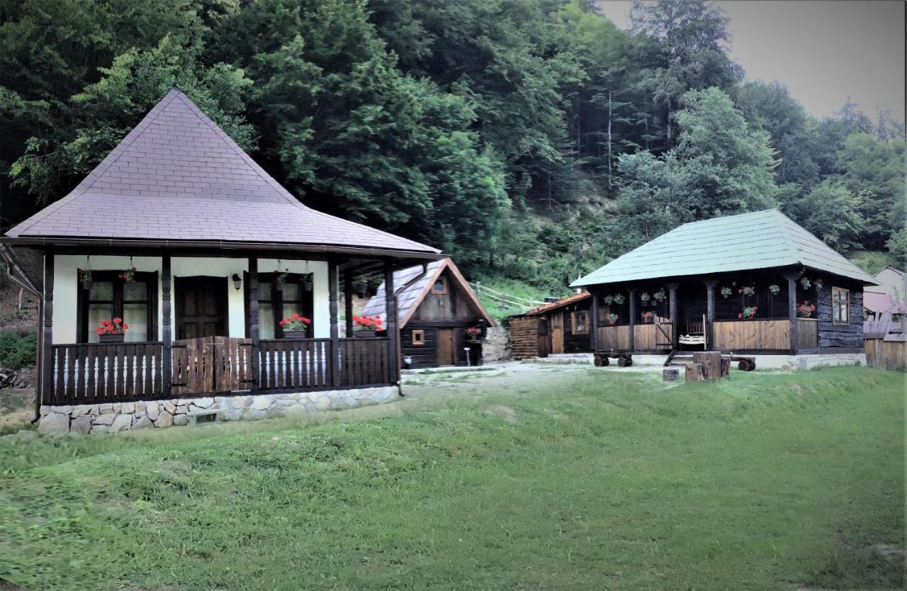 Villa Casuta Din Valea Regilor à Gradistea de Munte Extérieur photo