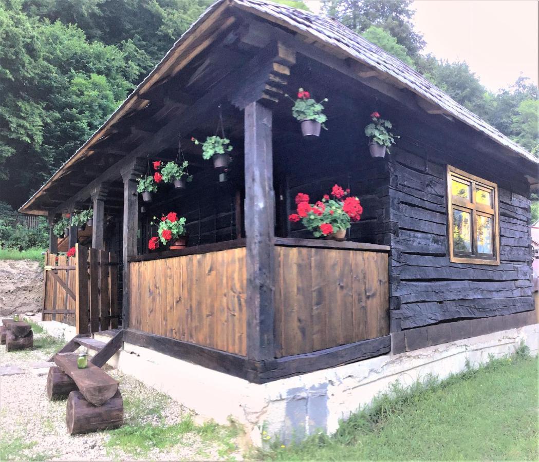 Villa Casuta Din Valea Regilor à Gradistea de Munte Extérieur photo