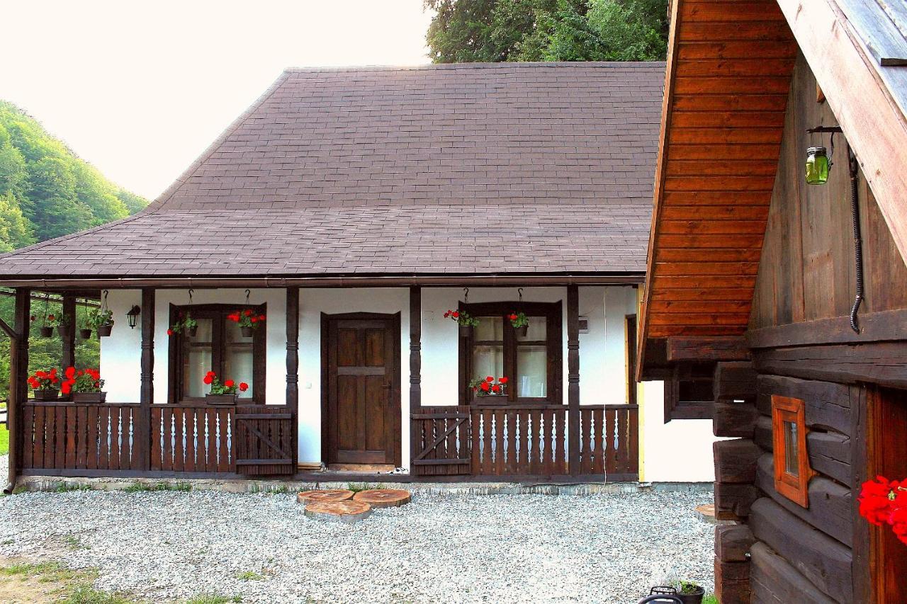 Villa Casuta Din Valea Regilor à Gradistea de Munte Extérieur photo