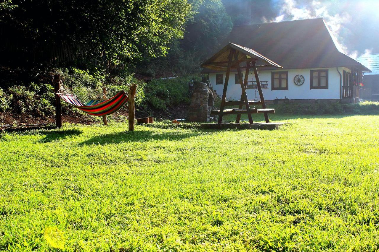 Villa Casuta Din Valea Regilor à Gradistea de Munte Extérieur photo