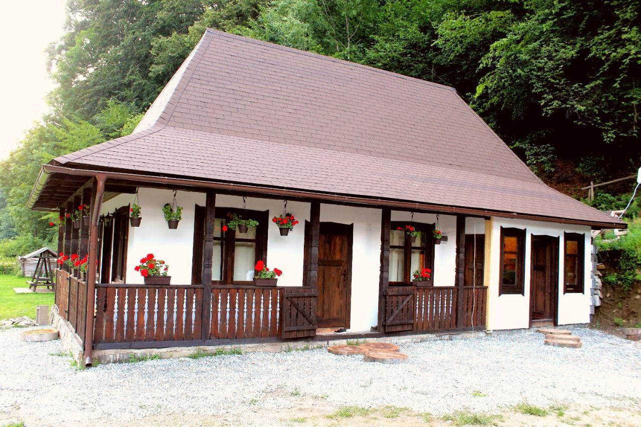 Villa Casuta Din Valea Regilor à Gradistea de Munte Extérieur photo