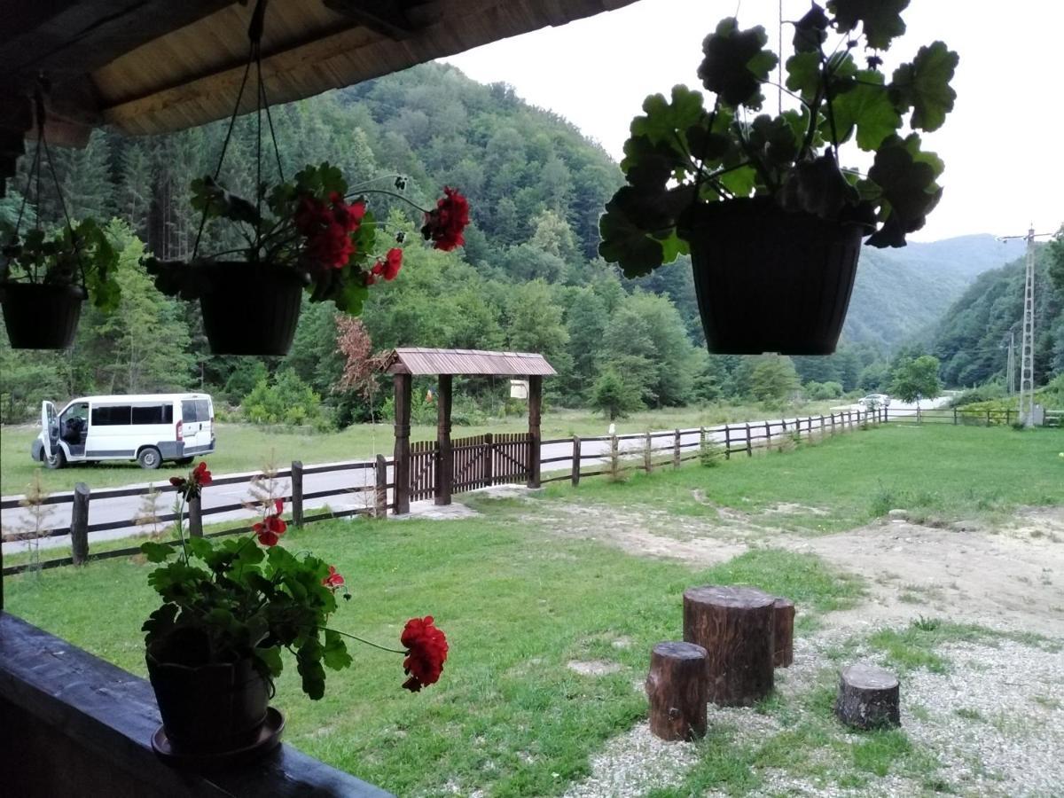 Villa Casuta Din Valea Regilor à Gradistea de Munte Extérieur photo