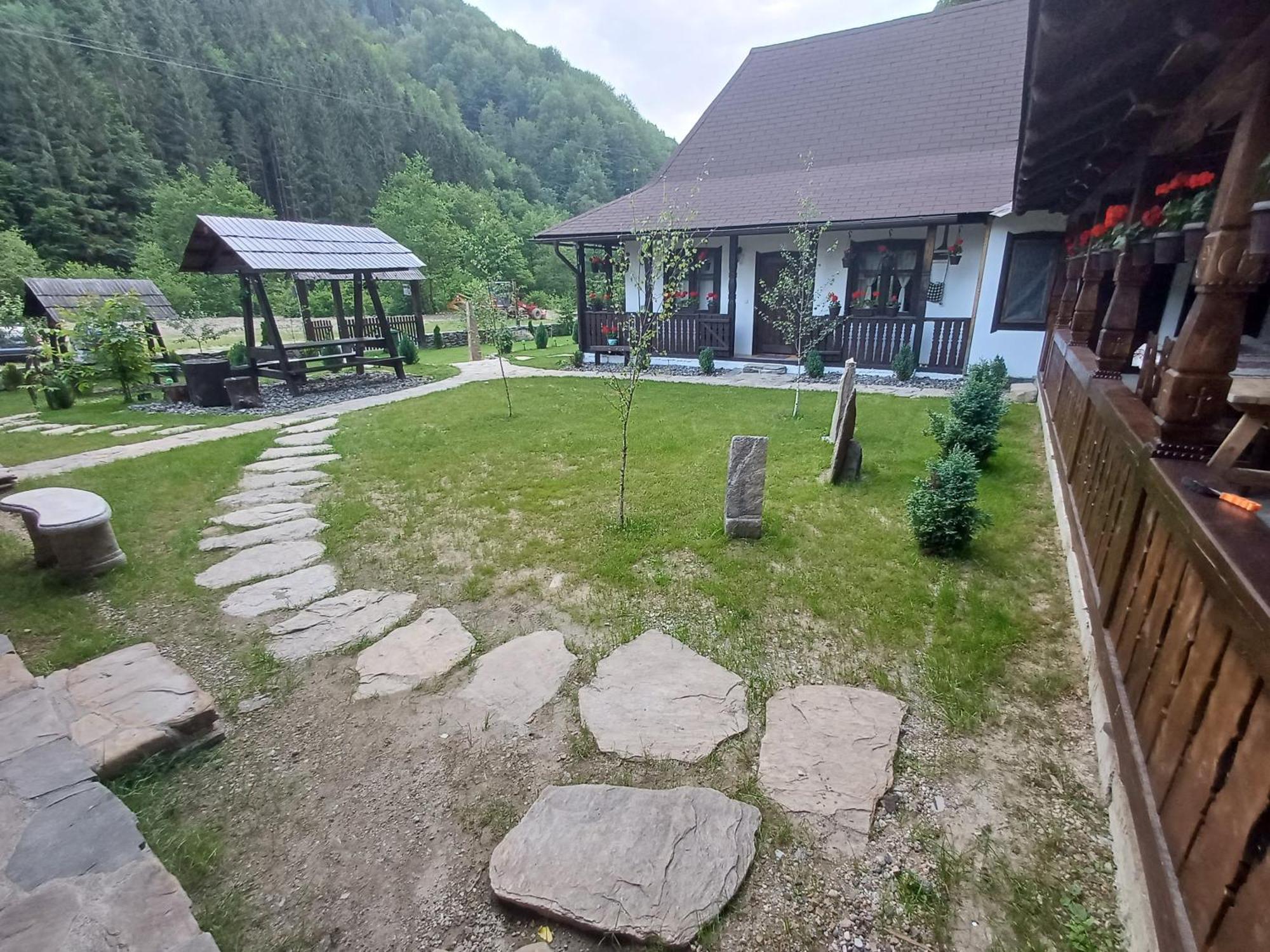 Villa Casuta Din Valea Regilor à Gradistea de Munte Extérieur photo