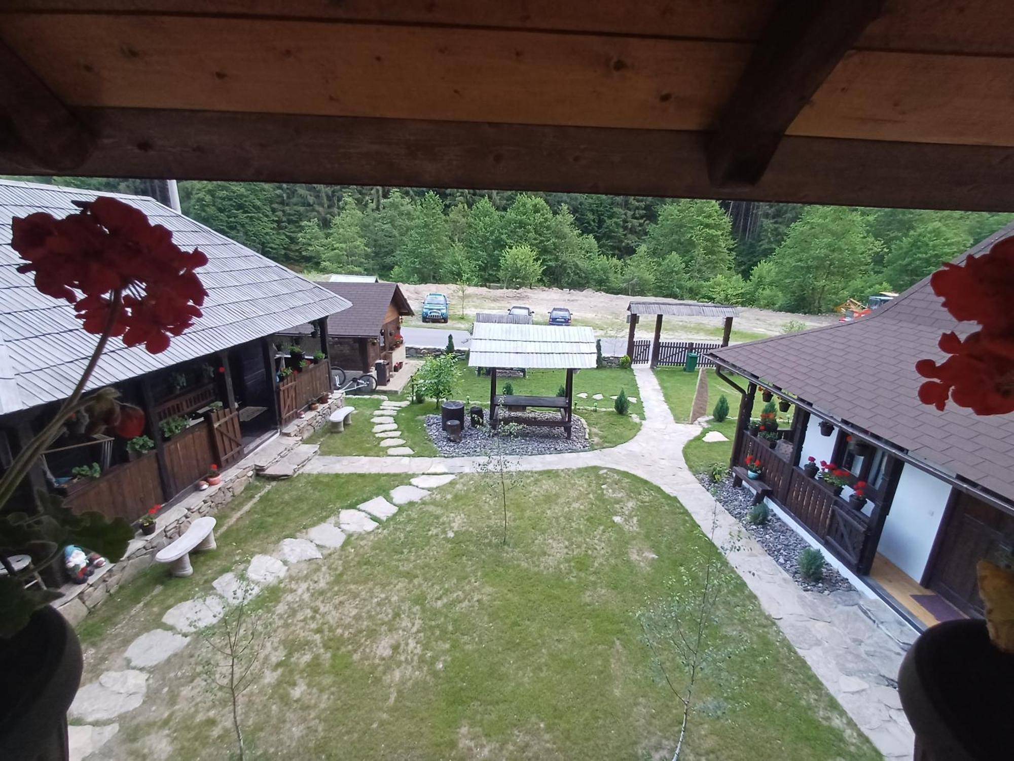 Villa Casuta Din Valea Regilor à Gradistea de Munte Extérieur photo